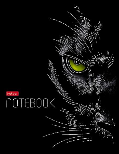 Бизнес-блокнот 80л А5 -Black Cat- 3D фольга 80ББ5лофлВ1_30991 (20)