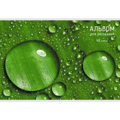 Альбом д/рисов 40л "Nature" на скрепке "Канц-Эксмо" А2Л402339 (30)