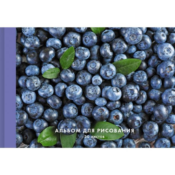 Альбом д/рисов 30л "Голубика" склейка "Канц-Эксмо" А2Л302299 (50)