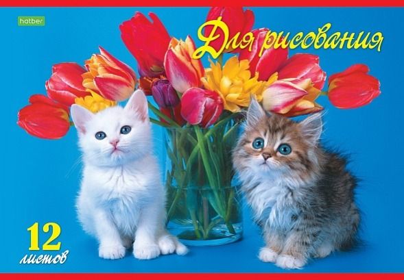 Альбом для рисования 12л -Верные друзья- Hatber 12А4С "ECO" (110)
