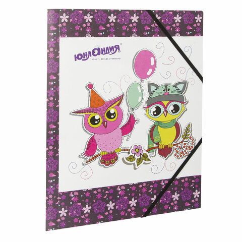 Папка на резинках "ЮНЛАНДИЯ" Умные Совы 228048 (12)