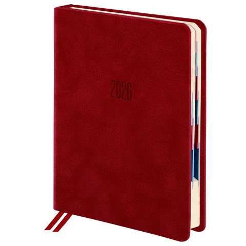 ЕЖЕДНЕВНИКИ