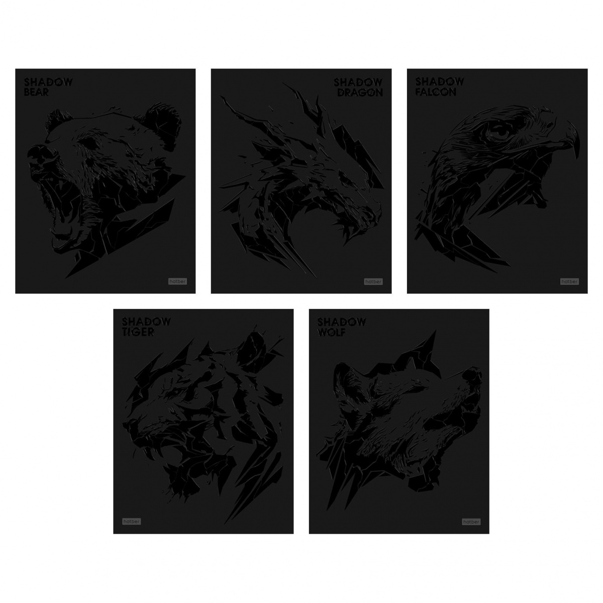 Тетрадь 48л А5 -Shadow- клетка, скоба, 5диз., Hatber 48Т5лолВ1 (5/60)