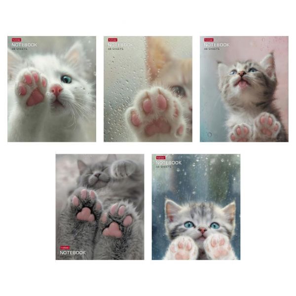 Тетрадь 48л А5 "Розовые лапки" клетка, на скобе, 5диз. 48Т5В1 (5/60)