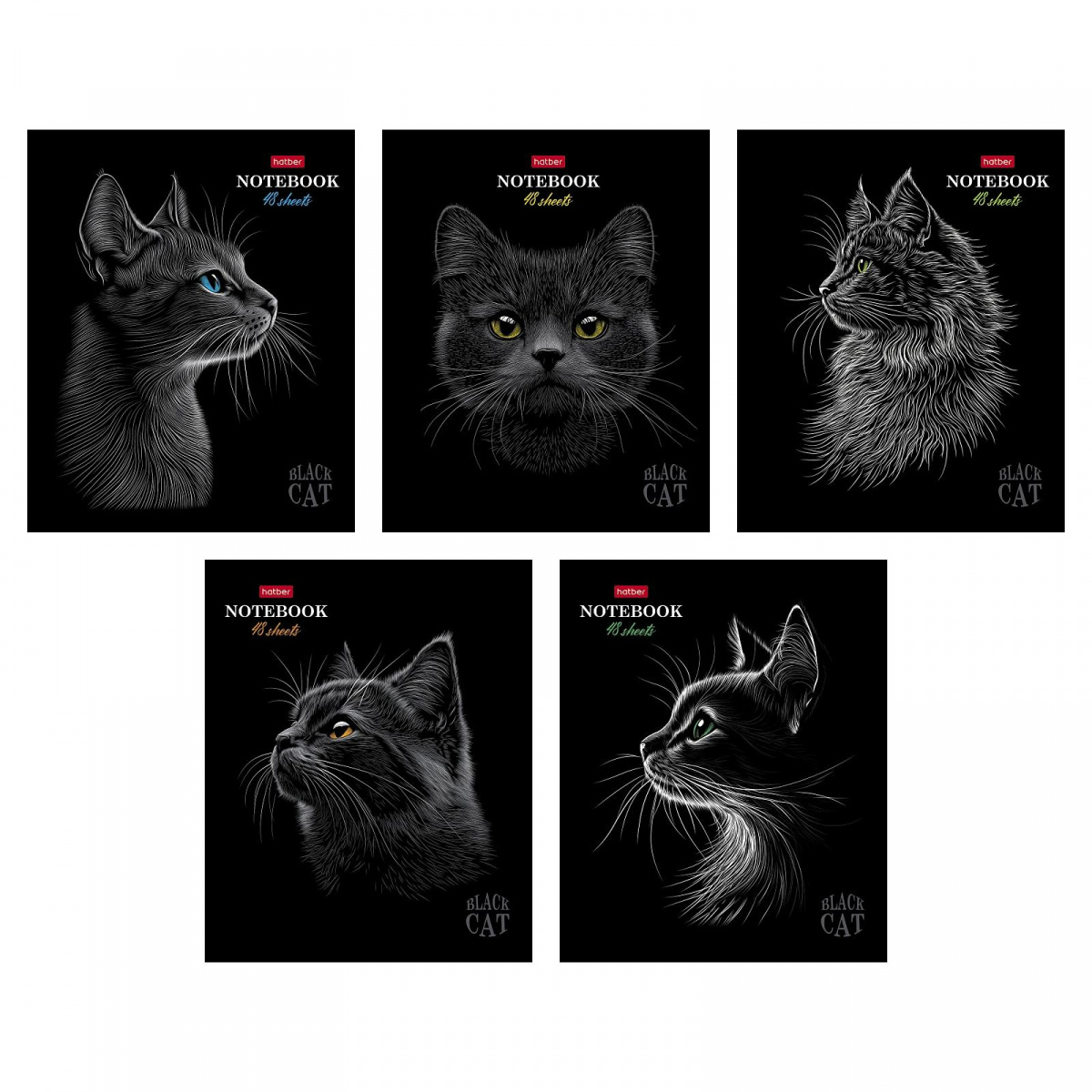 Тетрадь 48л А5 -Black Cat- клетка, скоба, 5диз., Hatber 48Т5лолВ1 (5/60)