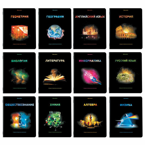 Тетради предметные, КОМПЛЕКТ 12 ПРЕДМЕТОВ, BRAUBERG, "SHADE" 48л., 404324